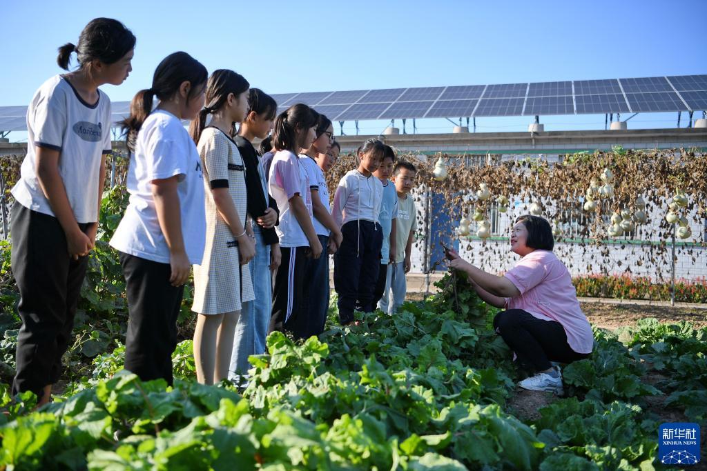 9818连环夺宝游戏大厅